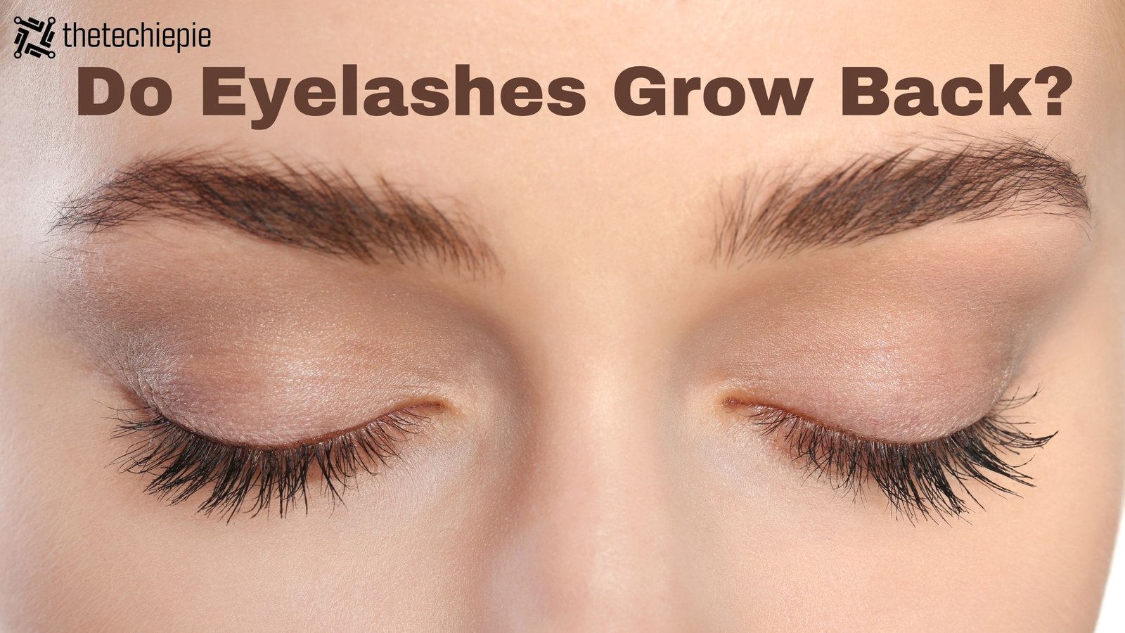 do eyelashes grow back