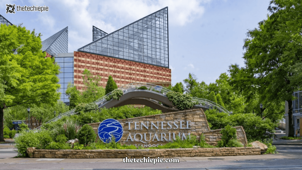 Tennessee Aquarium