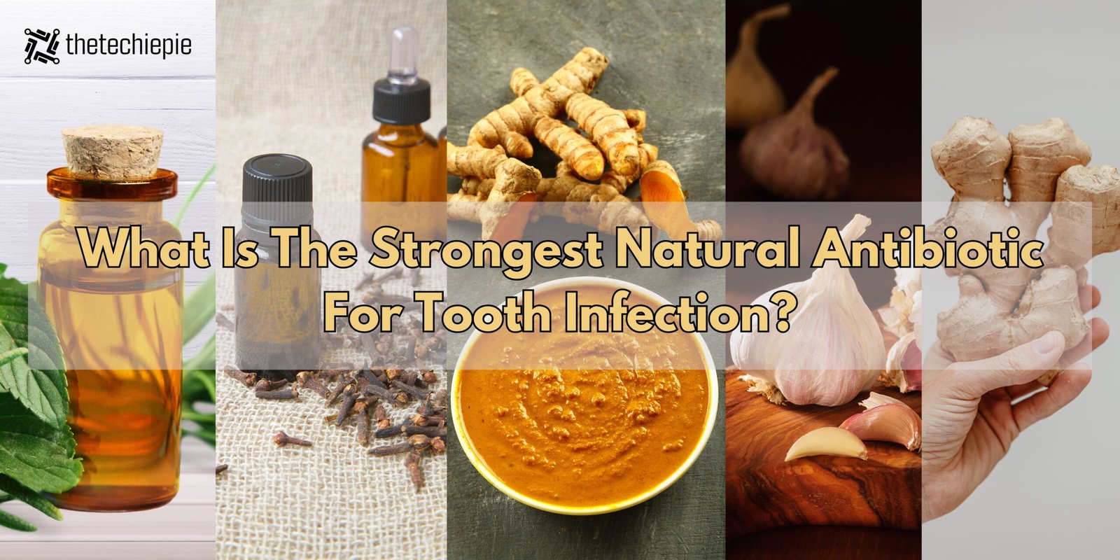 Strongest Natural Antibiotic For Tooth Infection