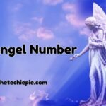 1111 Angel Number