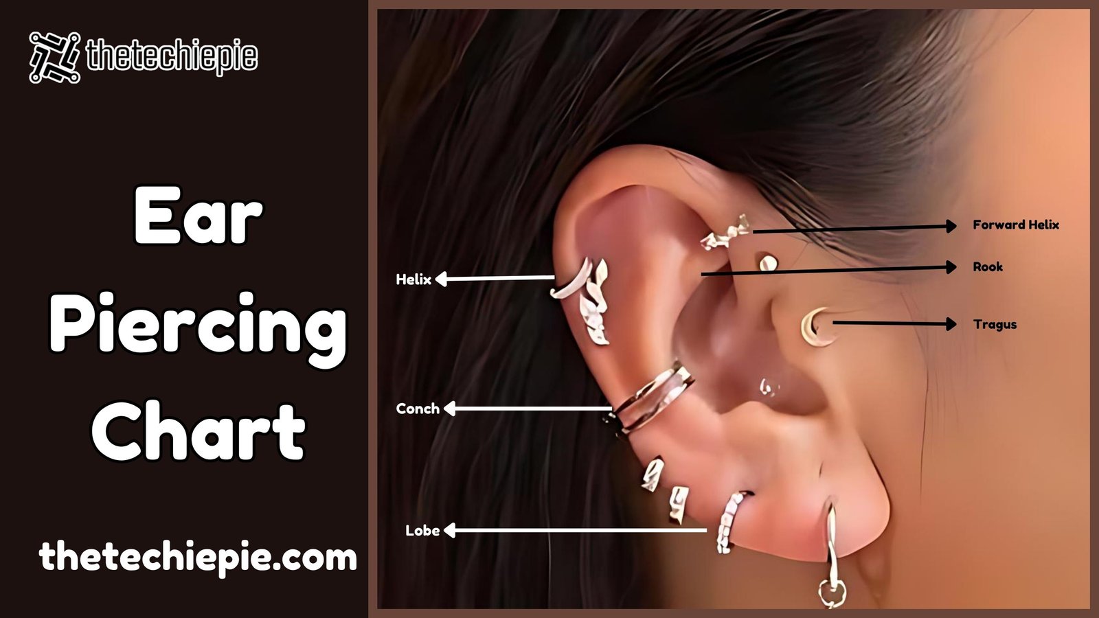 Ear Piercing Chart