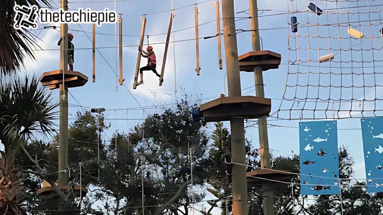 Begin The Fun At Cocoa Beach Aerial Adventures