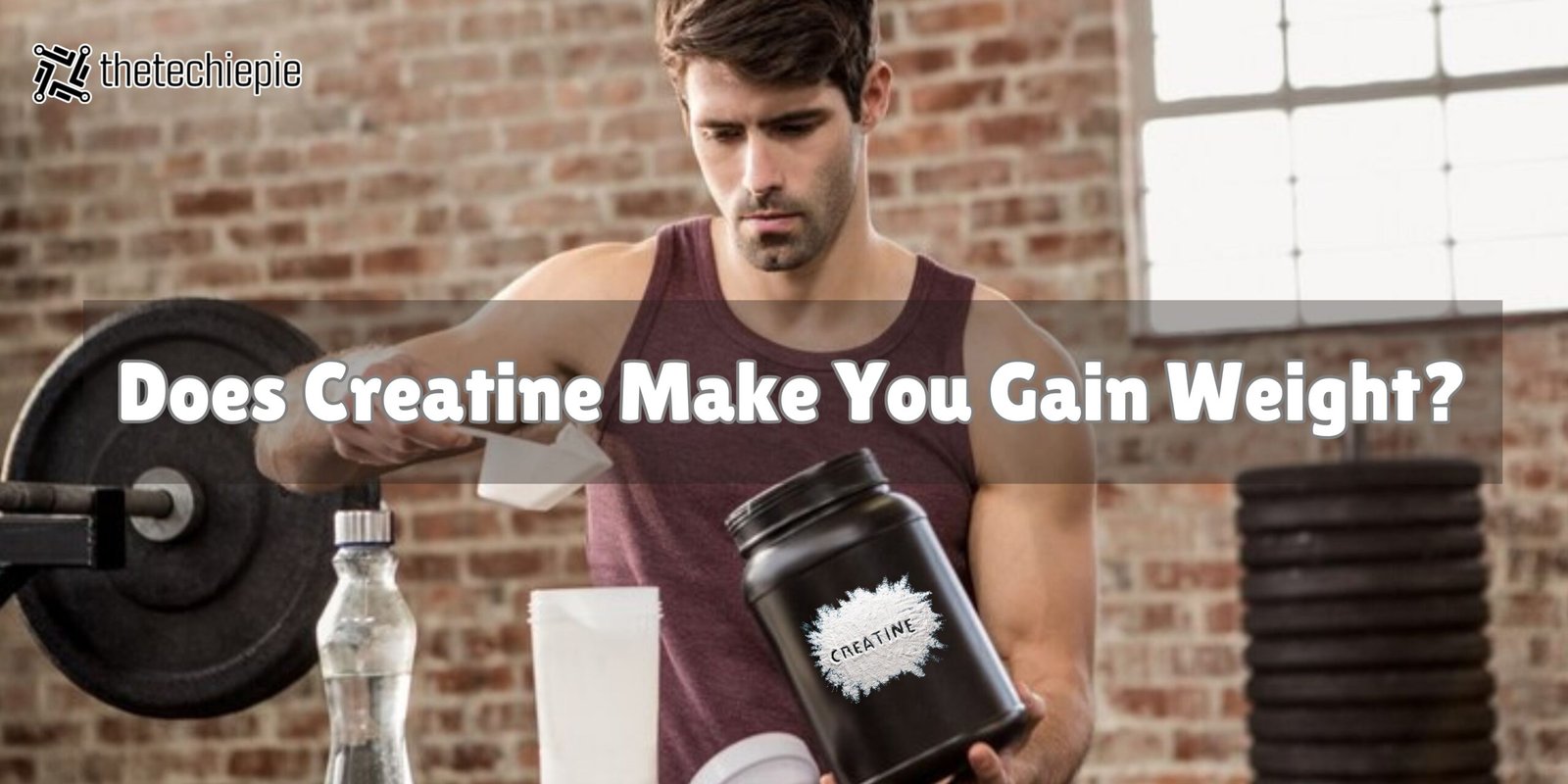 does creatine make you gain weight