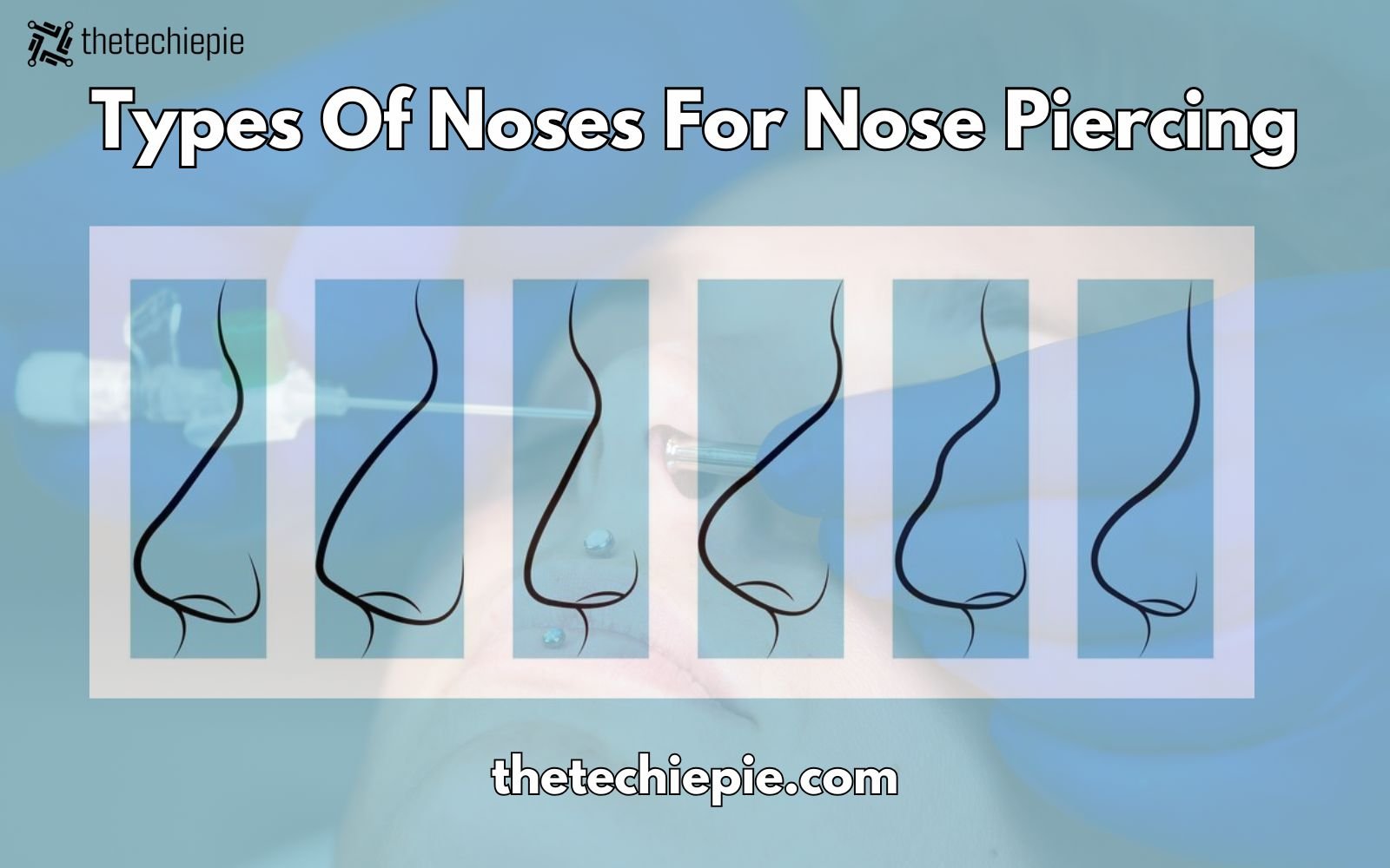 types of noses for nose piercing