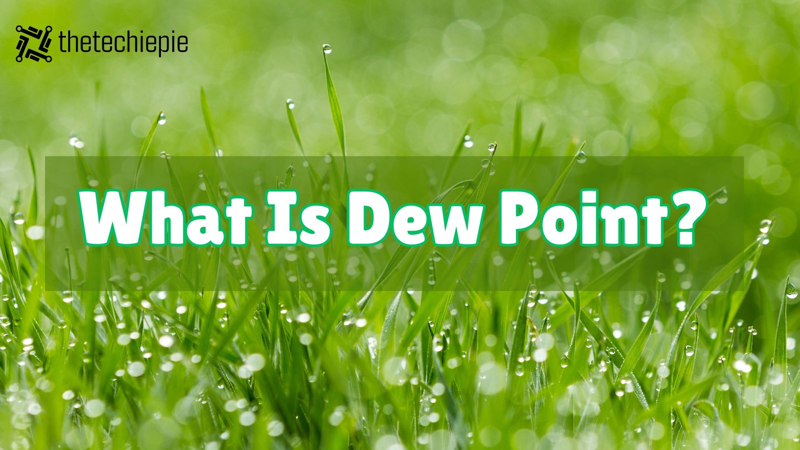 what is dew point